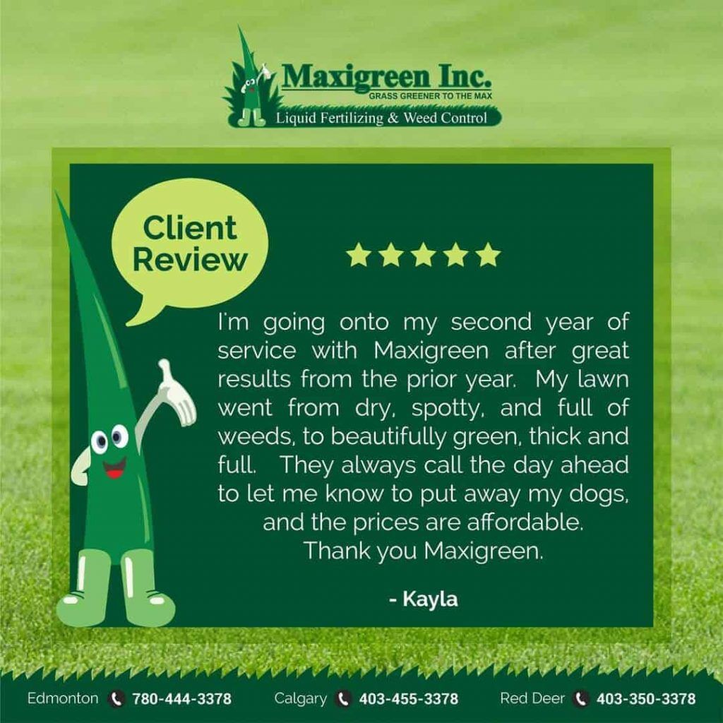 Client Review Kayla