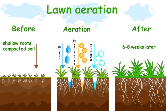 Core Aeration
